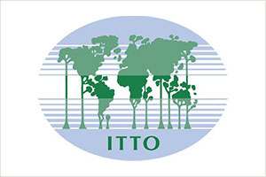 OIBT - Organisation internationale des bois tropicaux