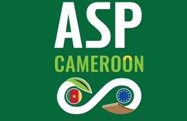 LCB et PROBOS au cœur de l'action marketing du projet ASP – Pacte Vert Cameroun de l'ATIBT