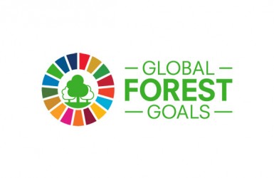 La 16ème session du forum des Nations Unies sur les forêts s’est tenue du 26 au 29 avril 2021