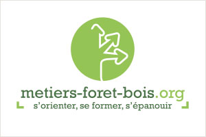 Les métiers du bois