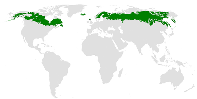 Aires de répartition des forêts boréales