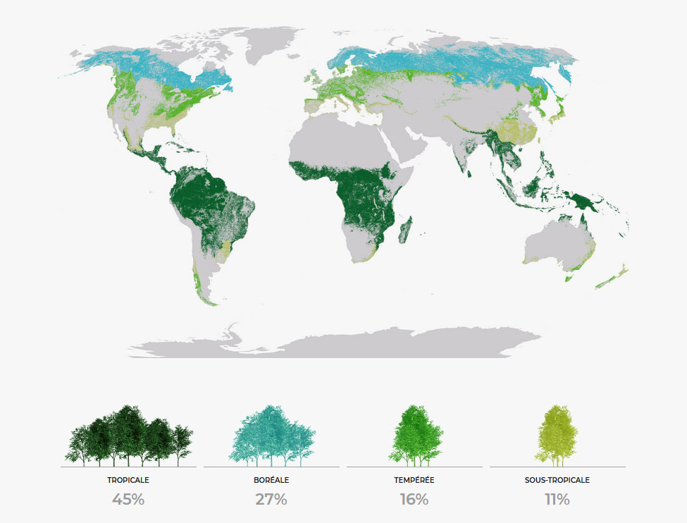 Aires de répartition des forêts dans le Monde