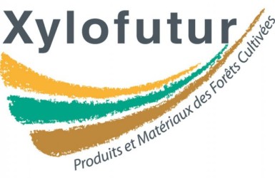 Xylofutur lance un 1er Appel à Manifestation d'Intérêt pour 2023