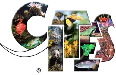 CITES : Retour sur la 77ème session du Comité permanent