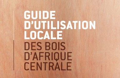 Un nouveau guide sur l’utilisation des bois d’Afrique Centrale pour les pays producteurs
