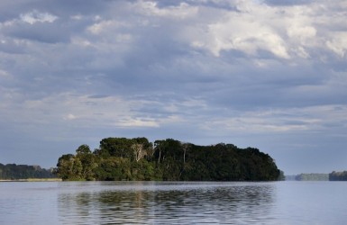 La Commission Carbone & Biodiversité de l'ATIBT a publié sa 10e veille