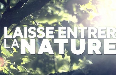 LAISSE ENTRER LA NATURE