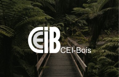 La CEI-BOIS a célébré son 70e anniversaire le 15 juin 2022 dans la maison de la culture du bois d'ingénierie primée à skellefteå !