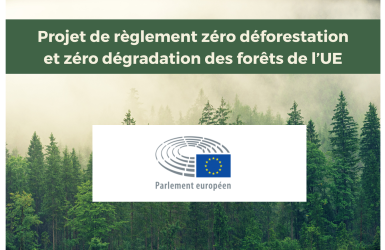 Projet de règlement zéro déforestation : éclairage sur la position du Parlement de l’UE 
