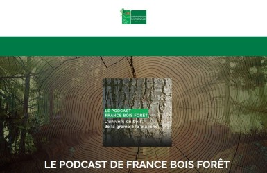 Découvrez les derniers épisodes du Podcast de France Bois Forêt !