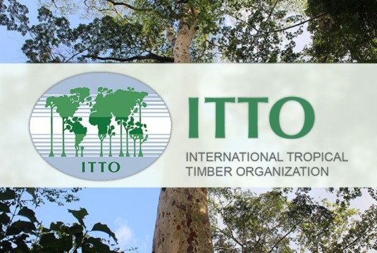 Le rapport sur le marché des bois tropicaux du 16 au 31 mai 2023 est paru 