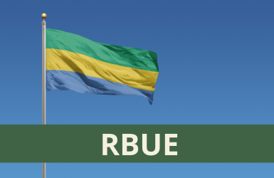 UE et importations de bois du Gabon et RBUE : ni décision, ni recommandation, mais une vigilance accrue et un sujet à suivre de près