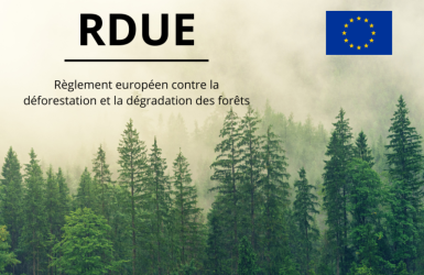 RDUE : nouveau guide de la Commission Européenne pour la conformité des entreprises du secteur bois