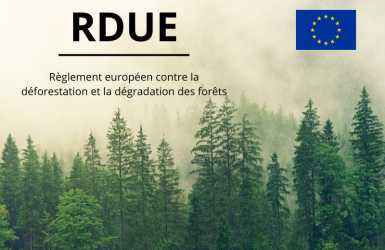 RDUE : nouvelles clarifications officielles et retour sur les ateliers LCB/ATIBT