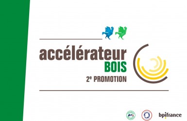 Bpifrance et ses partenaires soutiennent les entreprises de la filière bois : lancement de la 2nde promotion de l’Accélérateur Bois