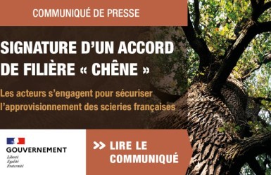 Signature d’un accord de filière « Chêne » : les acteurs s’engagent pour sécuriser l’approvisionnement des scieries françaises