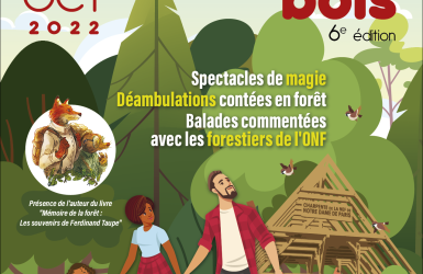 Célébrez le Festival de la forêt et du bois les 15 et 16 octobre au Château de la Bourdaisière !
