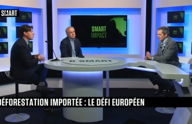 Coup de Projecteur : Le Commerce du Bois sur BSMART TV 