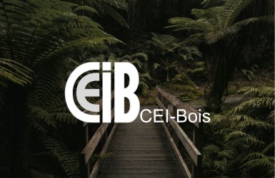  CEI-BOIS: les industries du bois s’engagent dans la transition vers un écosystème de construction plus résilient, plus vert et plus numérique 