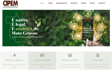 Bois de qualité en provenance d'Amazonie : le CIPEM promeut la gestion durable des forêts 