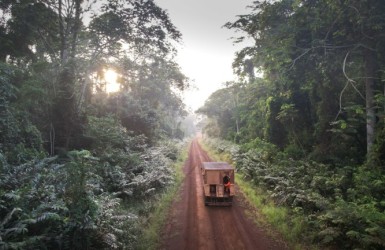 L'ATIBT présente son clip Fair&Precious sur la gestion durable des forêts tropicales
