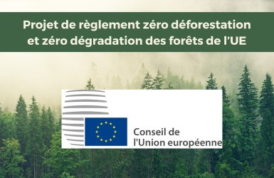 Règlement UE sur la déforestation : orientation générale adoptée par le conseil de l’UE