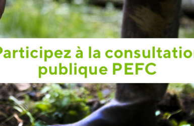 Participez à la consultation publique sur le projet de nouvelles règles de gestion forestière durable de PEFC France