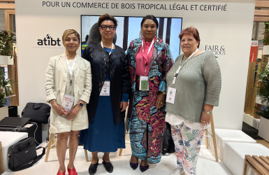 Forum ATIBT : quatre femmes réunies autour du commerce de bois tropical certifié