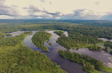 Étude d’évaluation d’impact des modes de gestion forestière sur le couvert forestier dans le bassin du Congo