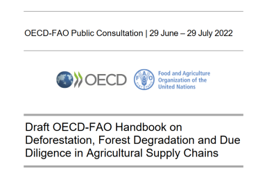 Consultation publique OCDE et FAO sur le guide relatif à la déforestation et la dégradation des forêts 