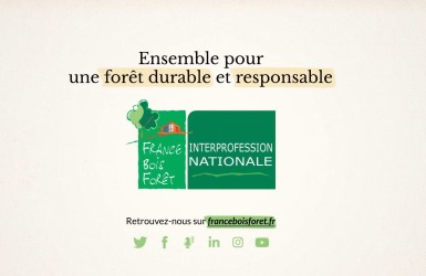 La filière forêt-bois présente ses actions à travers une vidéo animée !