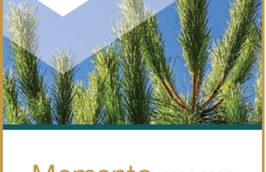Le Memento FCBA 2024-2025 est désormais disponible !
