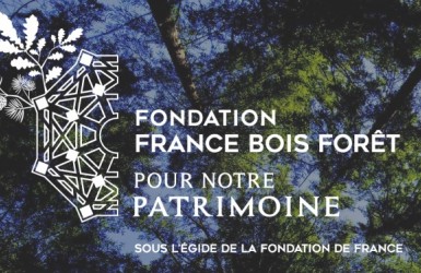 Fondation "France Bois Forêt pour notre patrimoine" : Lauréats 2020 et vote pour les projets 2021