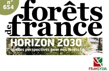 Forêts de France :  quelles perspectives pour nos forêts pour l’horizon 2030 ?