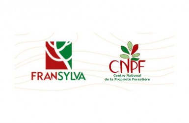Fransylva et le CNPF publient l'édition 2021 des chiffres clés de la forêt privée française 