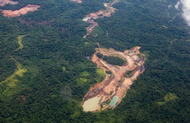 L'Union européenne pointée du doigt pour sa responsabilité en matière de déforestation importée 