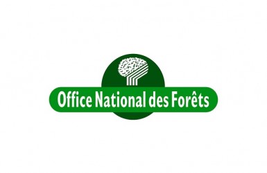 Le confinement a accru l'attrait des Français pour les forêts 