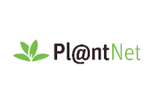Inscriptions ouvertes pour les formations sur l’utilisation de l’application mobile Pl@ntNet