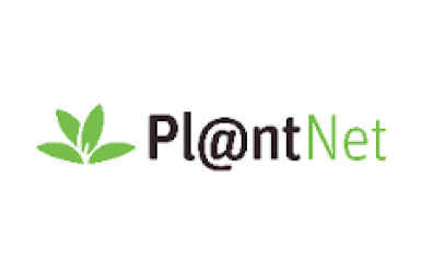 Inscriptions ouvertes pour les formations sur l’utilisation de l’application mobile Pl@ntNet