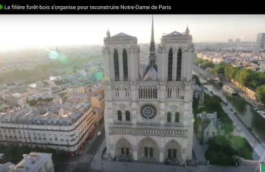 Découvrez en images comment la filière forêt-bois s’organise pour reconstruire Notre-Dame de Paris
