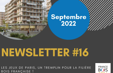France Bois 2024 a publié sa newsletter n°16