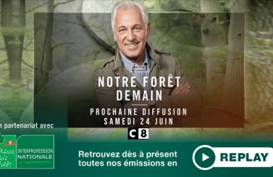 Visionnez le replay de l'épisode 2 de l'émission "Notre forêt demain" du 27 mai 2023