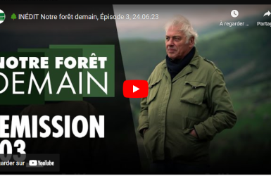 Découvrez l'épisode 3 de l'émission "Notre forêt demain" diffusé sur C8 !