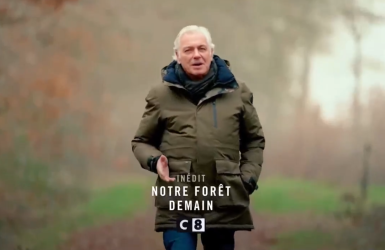 « Notre forêt demain » : nouveau magazine sur C8 en partenariat avec France Bois Forêt
