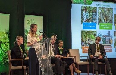 Retour sur le tout premier Forum Forêt du PEFC