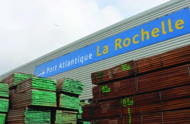 La Commission Bois Tropicaux de LCB engagée en faveur de la gestion durable des forêts