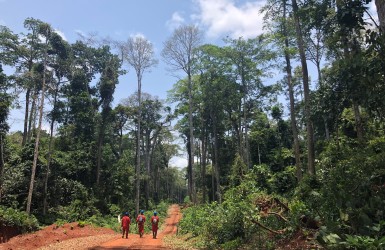 État des lieux des certifications FSC et PEFC/PAFC dans le bassin du Congo, par l'ATIBT