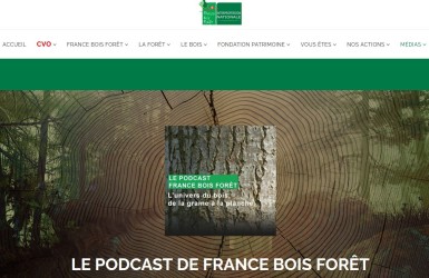 Découvrez le Podcast de France Bois Forêt !