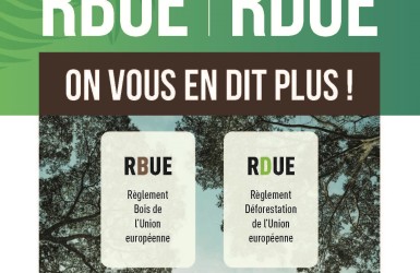 Une brochure pour décrypter et comparer le RDUE avec le RBUE