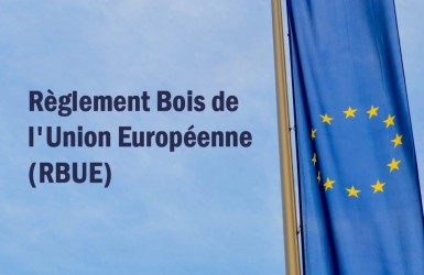 L'ETTF et la CEI-Bois réagissent au sujet du projet de règlement de l’UE visant à interdire l’importation de matières premières contribuant à la déforestation 